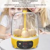 Fockety Egg Incubator, Small Egg Hatching Incubator with Automatic Temperature