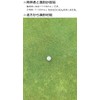 Hapiraki Golf Line Bridgestone Super Straight Super Straight 2025 Model