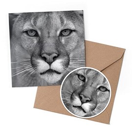 1 x Greeting Card & 10 cm Round Sticker Set - BW - Stunning Puma Wild Animals - Birthday Thank You Friend Lover Fan Mum Dad Kids #39383