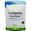 Vidanat Colágeno Hidrolizado Puro con Vitamina C y Magnesio - 300 g