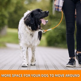 Tie Out Leads for Dogs, 3/6/9/15 m, Tie Out Cables for Dogs, Yard Lead for Medium to Large Dogs (Orange, 15 m)