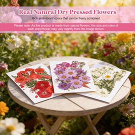 Gugxiom Flores Prensadas Secas para Resina, 10 Bolsas de 200 Piezas de Flores Prensadas, 10 Temas de Colores, Flores Secas para Arte de Uñas, Resina, Diseño de Joyería de (Tipo 13)