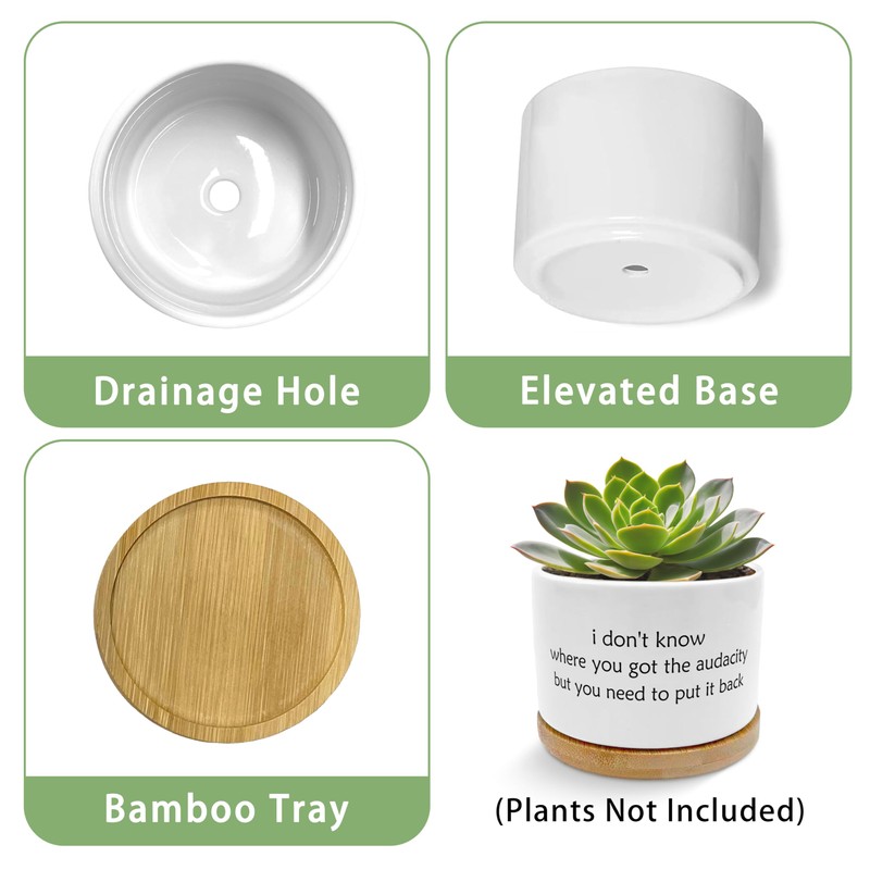 Funny Humorous Saying Planter Pots, Sarcastic I Don't Know Where