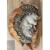 Vivid Arts Baby Hedgehog in Leaf Highly Detailed Home or