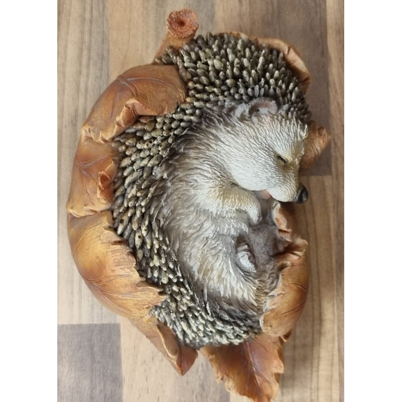 Vivid Arts Baby Hedgehog in Leaf Highly Detailed Home or