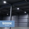 Feit Electric C15000/5K/LED 750 Watt-Equivalent 125W Non-Dimmable High Bright 15000