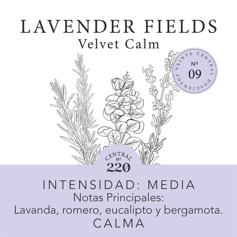 CENTRAL 220 Vela Lavender Fields Lavanda fresca, romero, eucalipto y