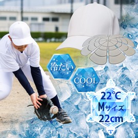 PRo° (Professional Domestic Genuine Product), Ice Head Pad, 8.7°F (22°C), 8.7 inches (22 cm), For Children and Toddlers, No Condensation, PCM Developed by NASA, Hair Won't Wet, Set in a Hinyari