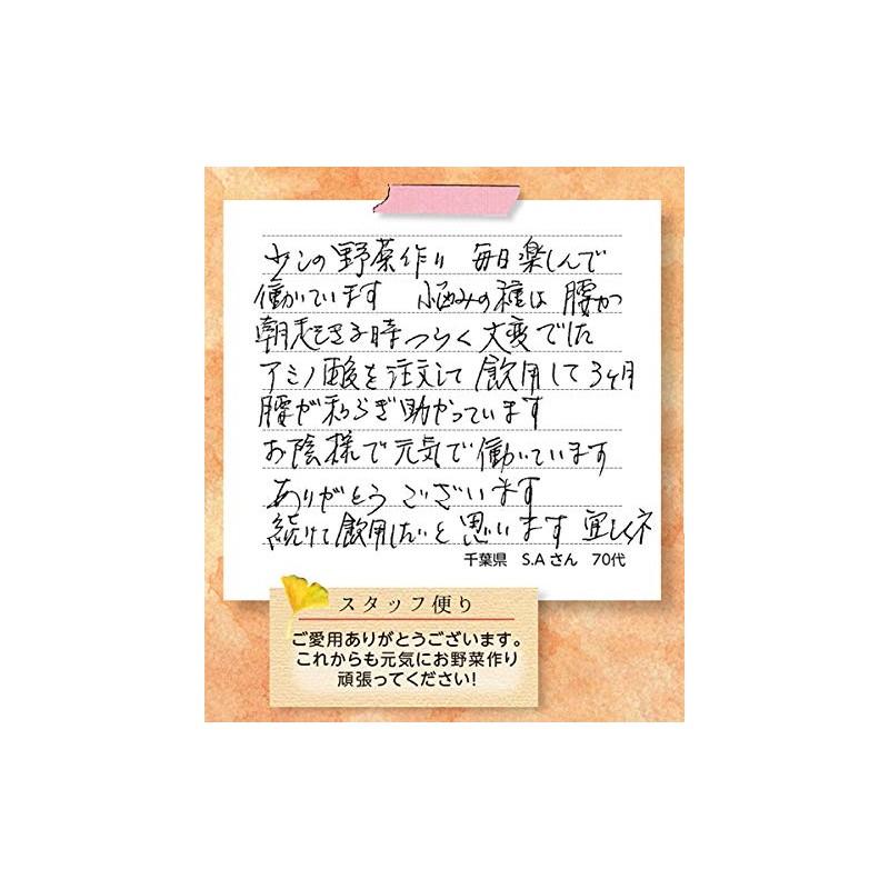 インシップ アミノ酸1000 350mg×150粒 1か月分