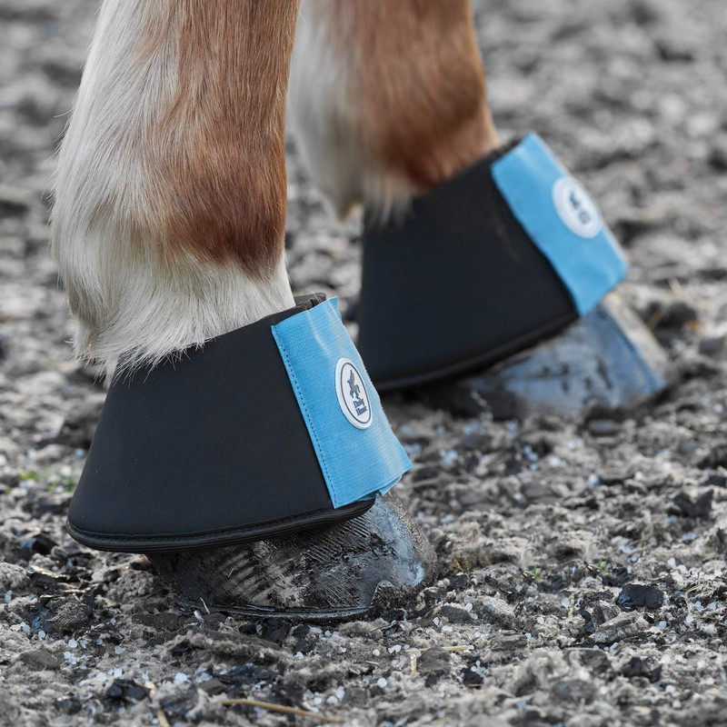 Derby House Pro Neoprene Over Reach Boots Full Size Peacock