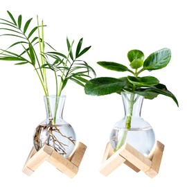 wangsdjy Propagation Stations, Propagation vases with Wooden Stand, Small Tabletop Glass Bulb Vases for Hydroponics Plant Propagation Station Home Office Decoration, Gift for Women Plant Lovers (2)