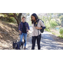 Midland GXT1030VP4 GMRS Two-Way Radio (50-Channel, Long Range, 142 Privacy Codes, SOS, NOAA, Rechargeable Nickel Battery, Black/Yellow, 2-Pack)