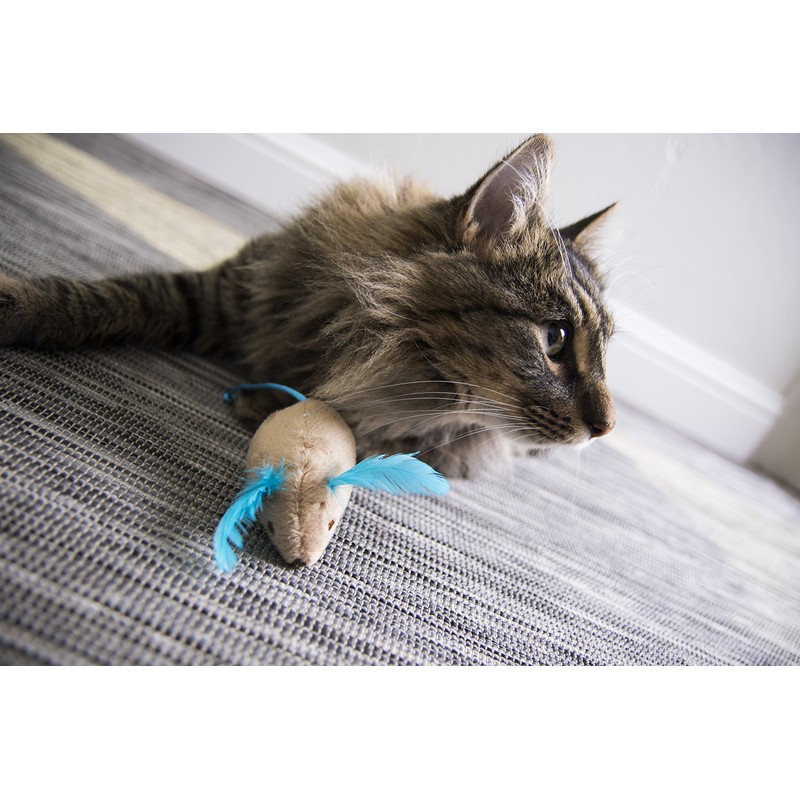 SmartyKat Mouse Mates (Set of 2)