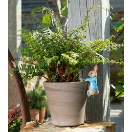 Pot Buddies Beatrix Potter Peter Rabbit Hanging Figure Plant Pot Hanger - Handmade Yard Art Ornament - Decorative Flower Planter Figurine