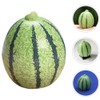 Alipis 12pcs Artificial Watermelon Model Miniature Resin Fake Watermelon Realistic