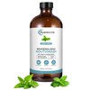 Cool Mint Remineralizing Mouthwash,Nano Hydroxyapatite Mouthwash,16.91Fl Oz