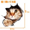lifepower 3D Car Sticker Cutting Sticker Wall Sticker Interior Sticker