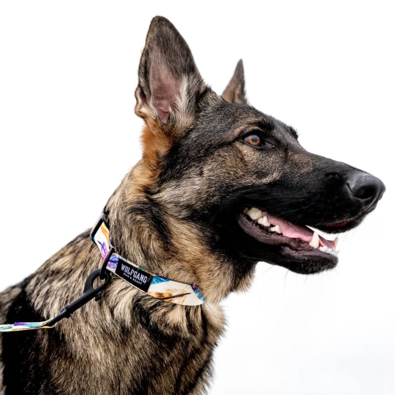 WOLFGANG MAN & BEAST FeatheredFriend Collar S Width 1.6 cm