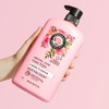 Herbal Essences Smooth collection conditioner, 29.2 fl oz, 29.2 Fl