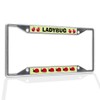 Fastasticdeals Metal Insert License Plate Frame Red Lady Bugs Ladybugs