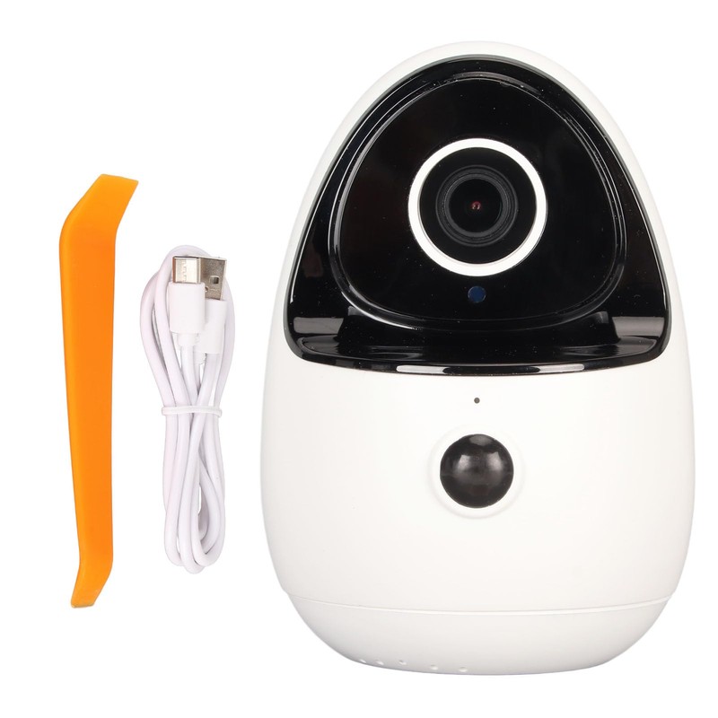 Wireless Intelligent Surveillance Camera, 2.4GHz 1080p HD Baby Dog and