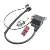 Replace Ignition Coil & On Off Stop Switch & Spark