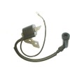BMP Ignition Coil Module For Powermate PWLE0799.1 Lawn Edger