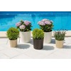 HappyFlower MultiProject Flower Pot, Plant Pot, Planter, Including Insert, Round,