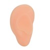 Ear Model,Professional Soft Silicone Left Ear Model Fake Ear Display