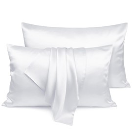 LULUSILK White Silk Pillow Cases 2 Pack with Hidden Zipper, 100 Pure Mulberry Silk Pillowcases for Hair and Skin, Standard Size