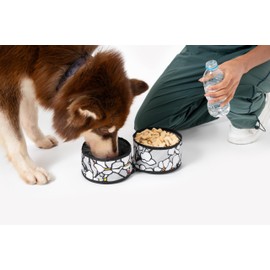 OllyDog Superbowl, Collapsible Dog Travel Bowl, Lightweight Foldable Dog Bowl with 2 Separate Compartments, Water and Food Bowls for Dogs with Zipper Closure and Durable Plastic Hook (Magnolia)