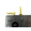 500pc. #4 x 1/2" Brass-Plated Phillips Round-Head Wood Screws