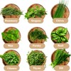 Indoor Herb Garden Kit, 9 Non-GMO Seeds with Reusable Pots,