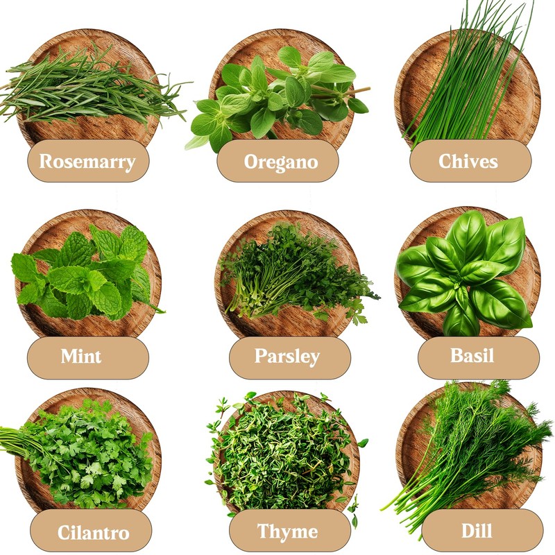 Indoor Herb Garden Kit, 9 Non-GMO Seeds with Reusable Pots,