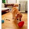 PLATZ PET SUPPLIES & FUN Mega Eggs Dog Toy, Large