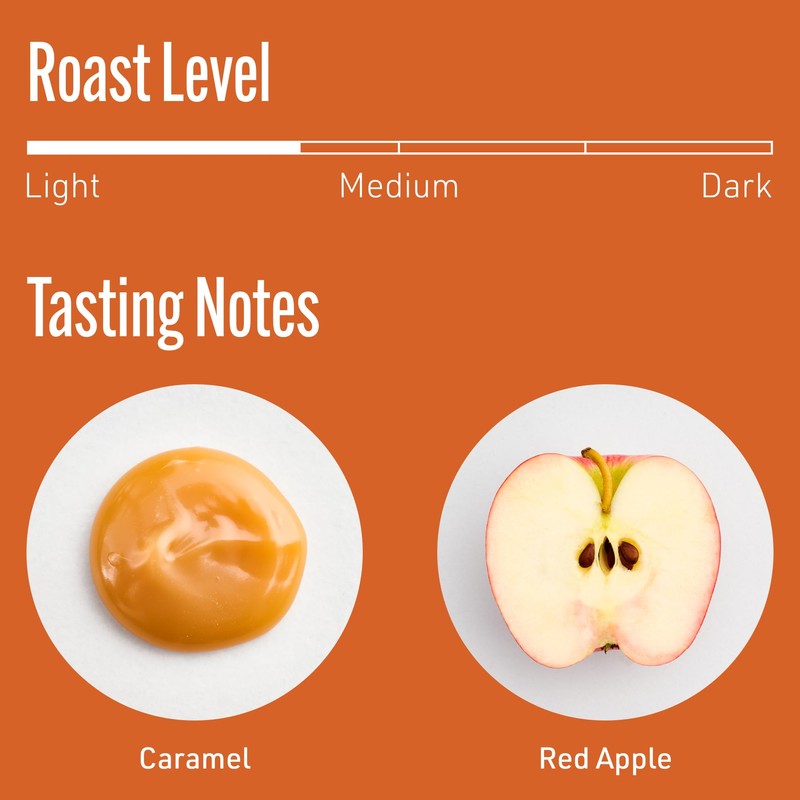 Intelligentsia Coffee, Light Roast Whole Bean Coffee - House Blend