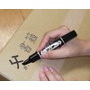 Zebra P-MO-150-MC-BK5 Hi-Mckee Permanent Markers, Black, 5 Pieces