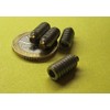 18-8 Stainless Steel Brass Tip Set Screw 1/4"-20 x .500"