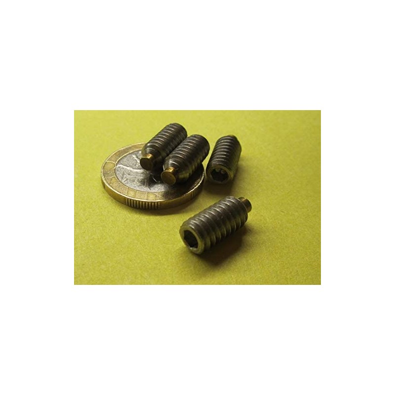 18-8 Stainless Steel Brass Tip Set Screw 1/4"-20 x .500"