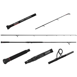 Jigging World JW-TR902S-M Tide Rider Rod 9'0" 15-30lb 1/2-2oz 2pc