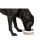 FatFace Marching Dogs Pet Bowl For Dogs