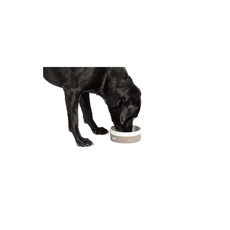 FatFace Marching Dogs Pet Bowl For Dogs