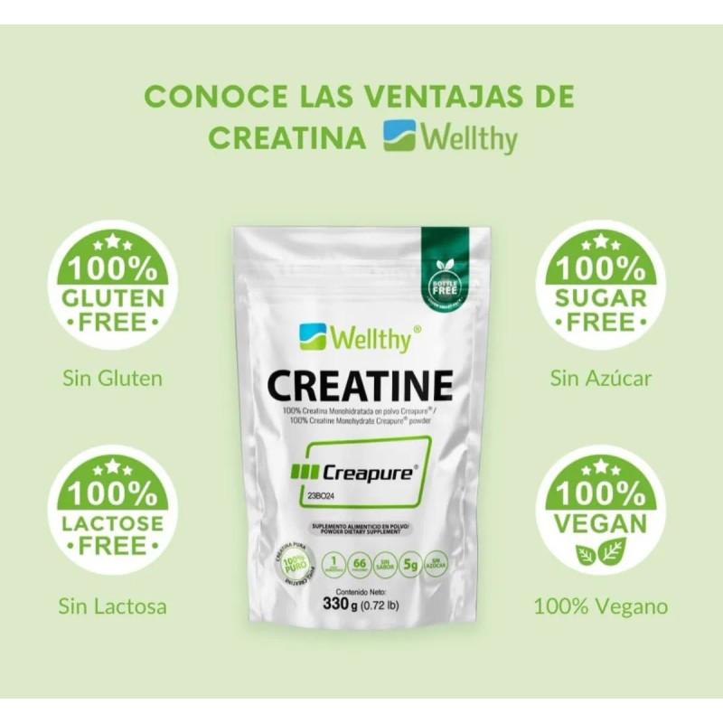 Suplemento Wellthy Creatina Creapure De 330g