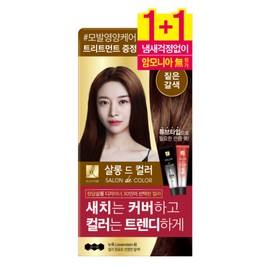 Elastine Salon de Color Hair Dye 2 packs (dark brown) / 엘라스틴 살롱드컬러 염모제 2입 (짙은갈색)