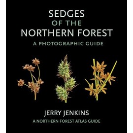 Sedges of the Northern Forest: A Photographic Guide