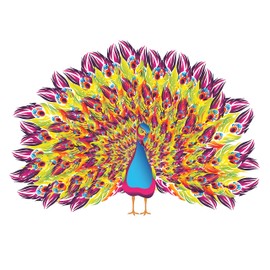 PEACOCK - Kids Room Family Room Peacock Wall Decor Art Multicolored Feathers Design Vinyl Wall Decal Sticker - Home Living Room Art Forest Bird Animal Decor Adhesive Wall Decoration 40" x 28"