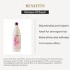 Salerm Hi Repair Shampoo 01, 36oz by Salerm