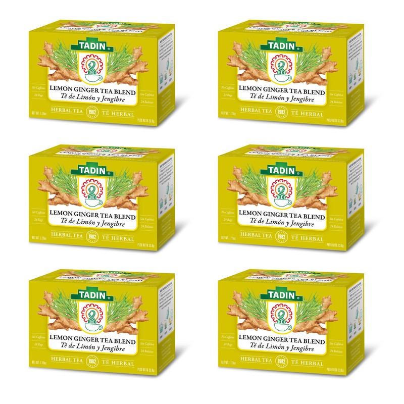 Tadin Lemon Ginger Tea, Herbal Tea, Caffeine Free, 24 Tea
