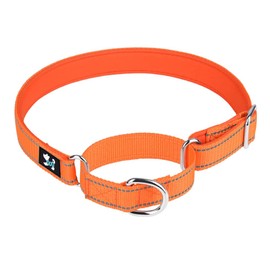 Serijoars Martingale Heavy Duty Nylon Dog Collar, Soft Neoprene Padded Breathable Nylon Pet Collar for Small Medium Large Dogs (S, Orange)