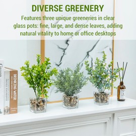 MyGift Artificial Rosemary Eucalyptus and Boxwood Plants Potted in Clear Glass Square Pots, Assorted Faux Greenery Indoor Home Table Centerpiece Office Desk Decor, 3 Piece Set